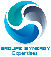 Logo groupe synergy expetertises